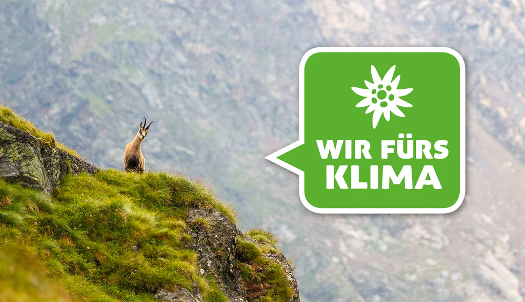 dav-bad-reichenhall-klimaschutz-