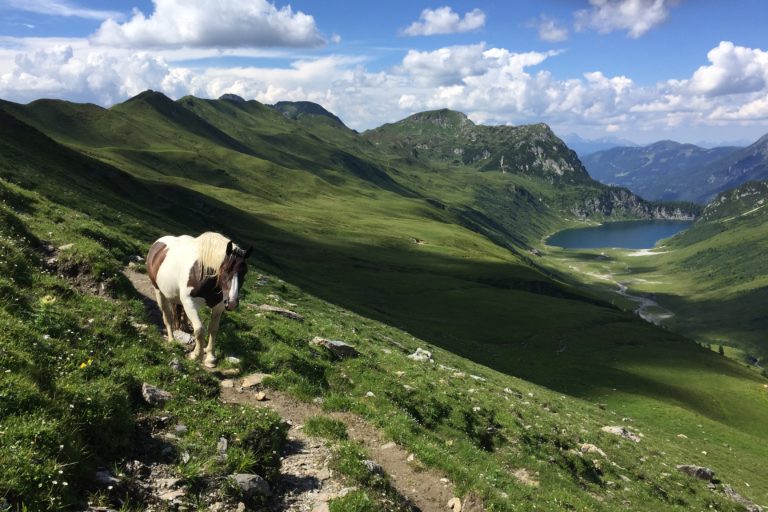 Wanderungen um den Tappenkarsee