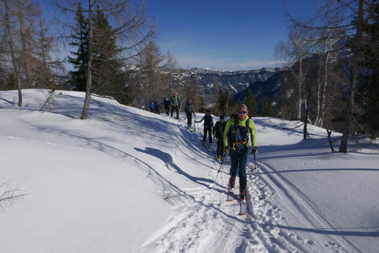 Skitour auf den Schafelberg