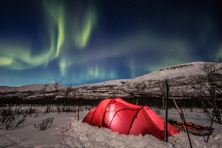 Sektionsabend mit Vortrag: Sarek