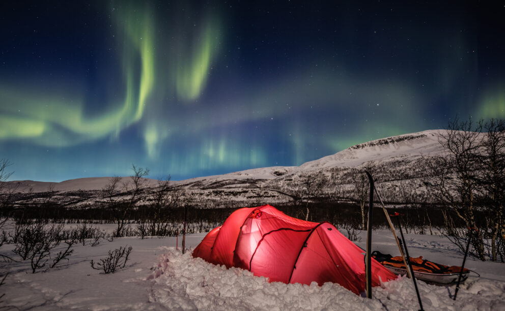 Sarek